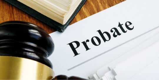 Probate Litigation